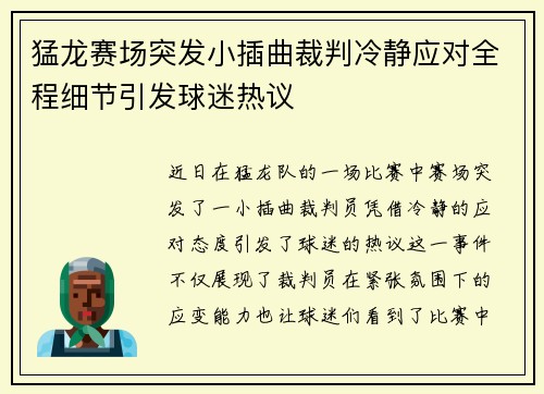 猛龙赛场突发小插曲裁判冷静应对全程细节引发球迷热议